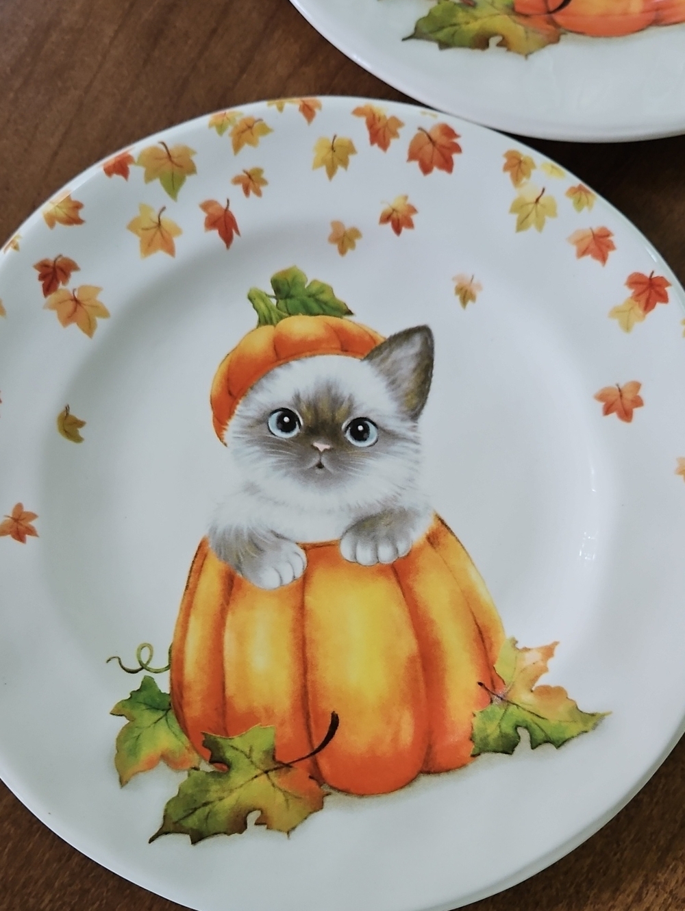 Pier 1 Kitten Cat in a Pumpkin Fall Salad Plates 8.5" - Set of 2
